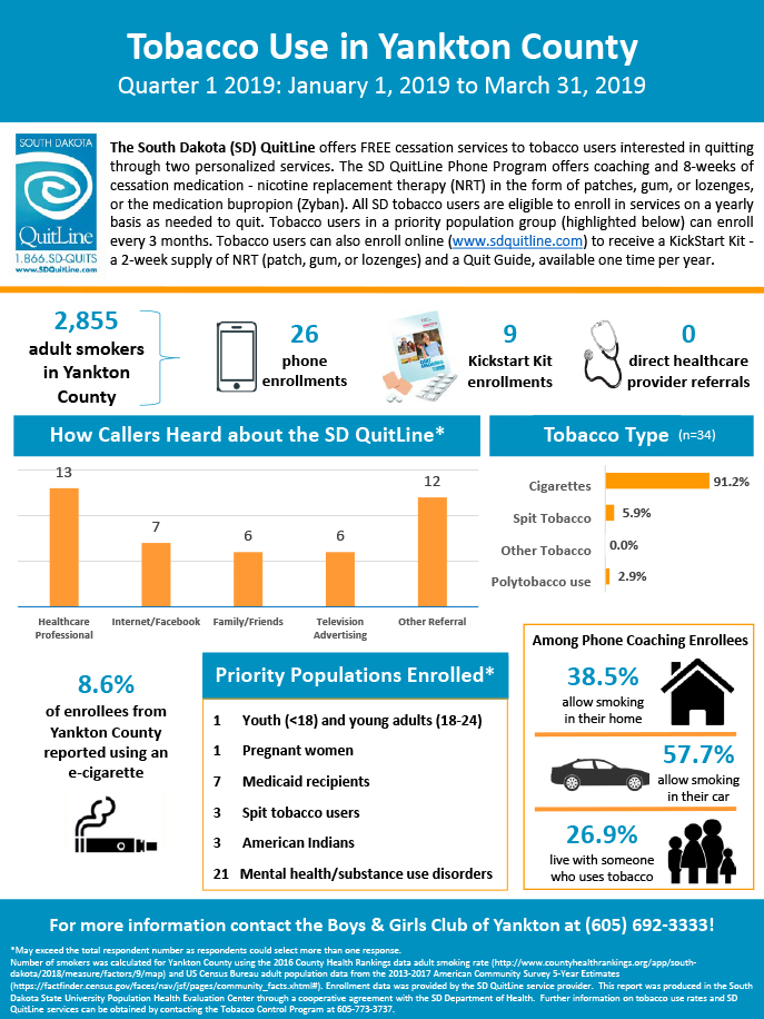 Boys and Girls Club of Yankton - Traditional and Academy-Q1 2019 Infographic